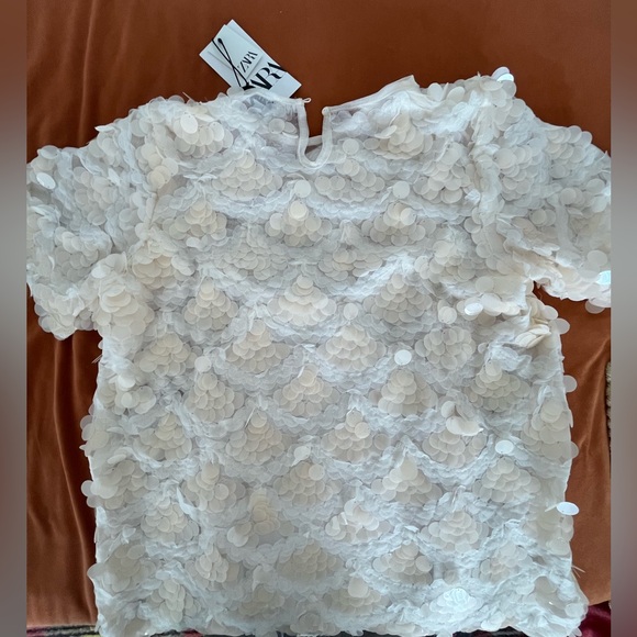 Zara Giant Sequin Dress in Pale Peach Sz M Mermaid Vibes - Picture 4 of 7